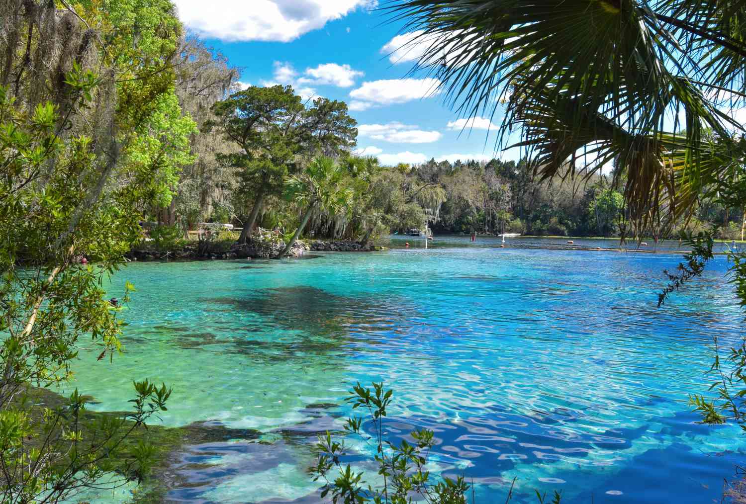 Image of city Ocala, FL