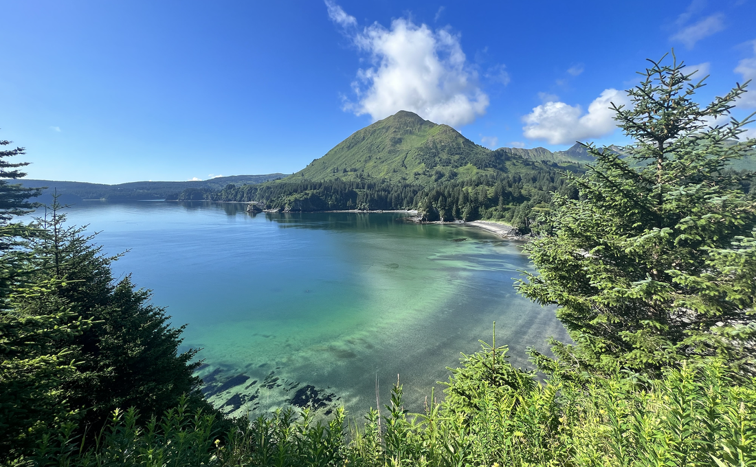 Kodiak Airport Image