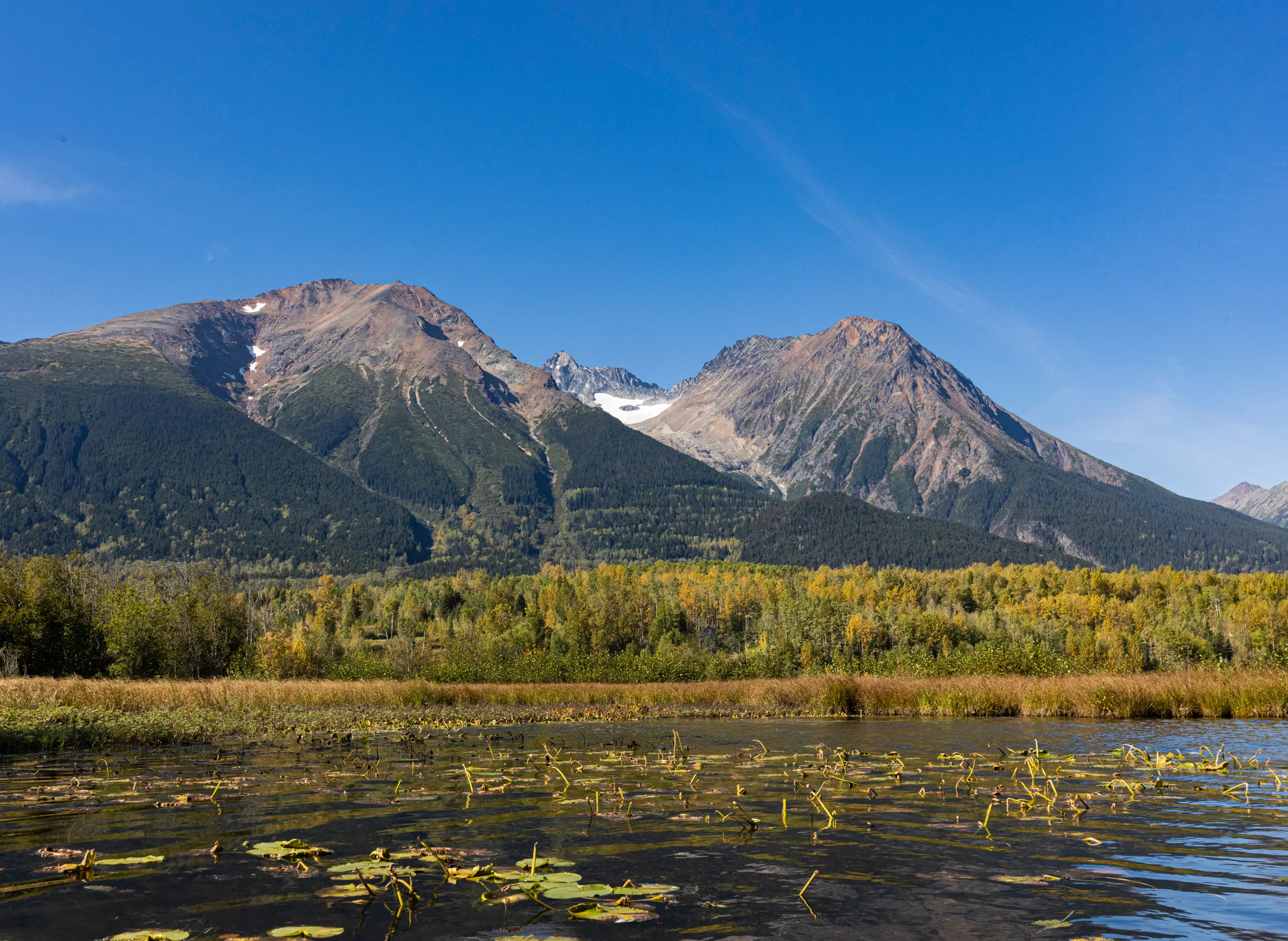 Smithers Airport Image
