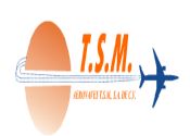 AERONAVES TSM, S.A. DE C.V. logo