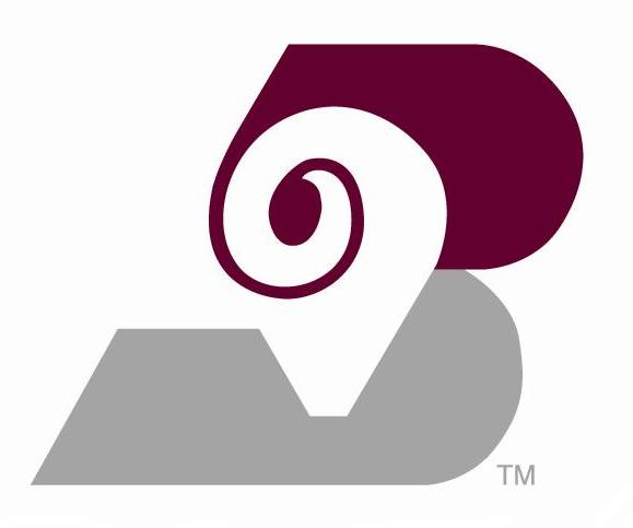 Bighorn Airways, Inc. logo