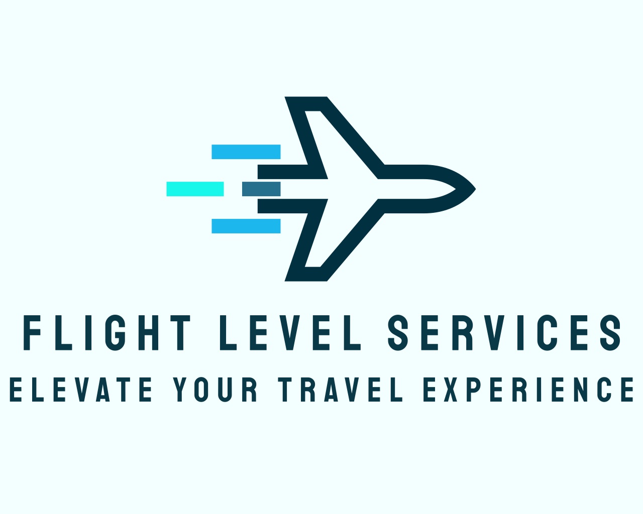 FLIGHT LEVEL SERVICES LLC logo