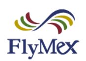 FLYMEX logo