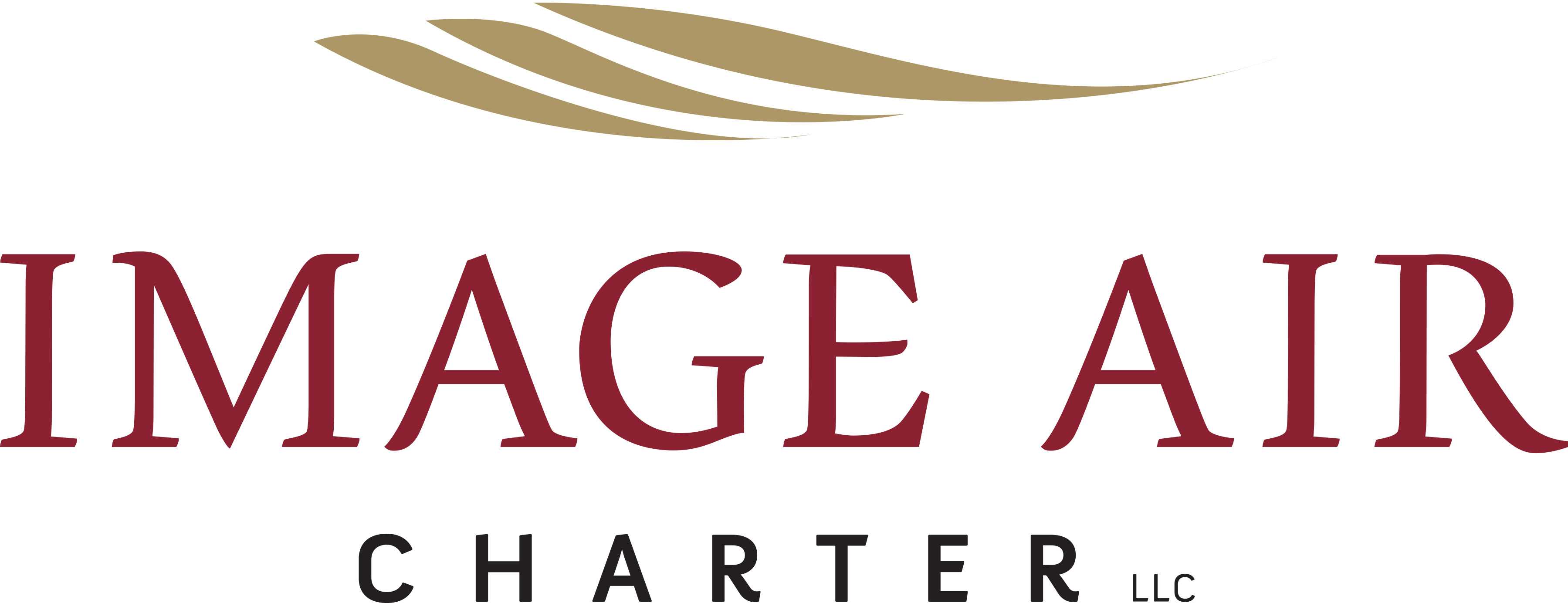 Image Air Charter, LLC logo