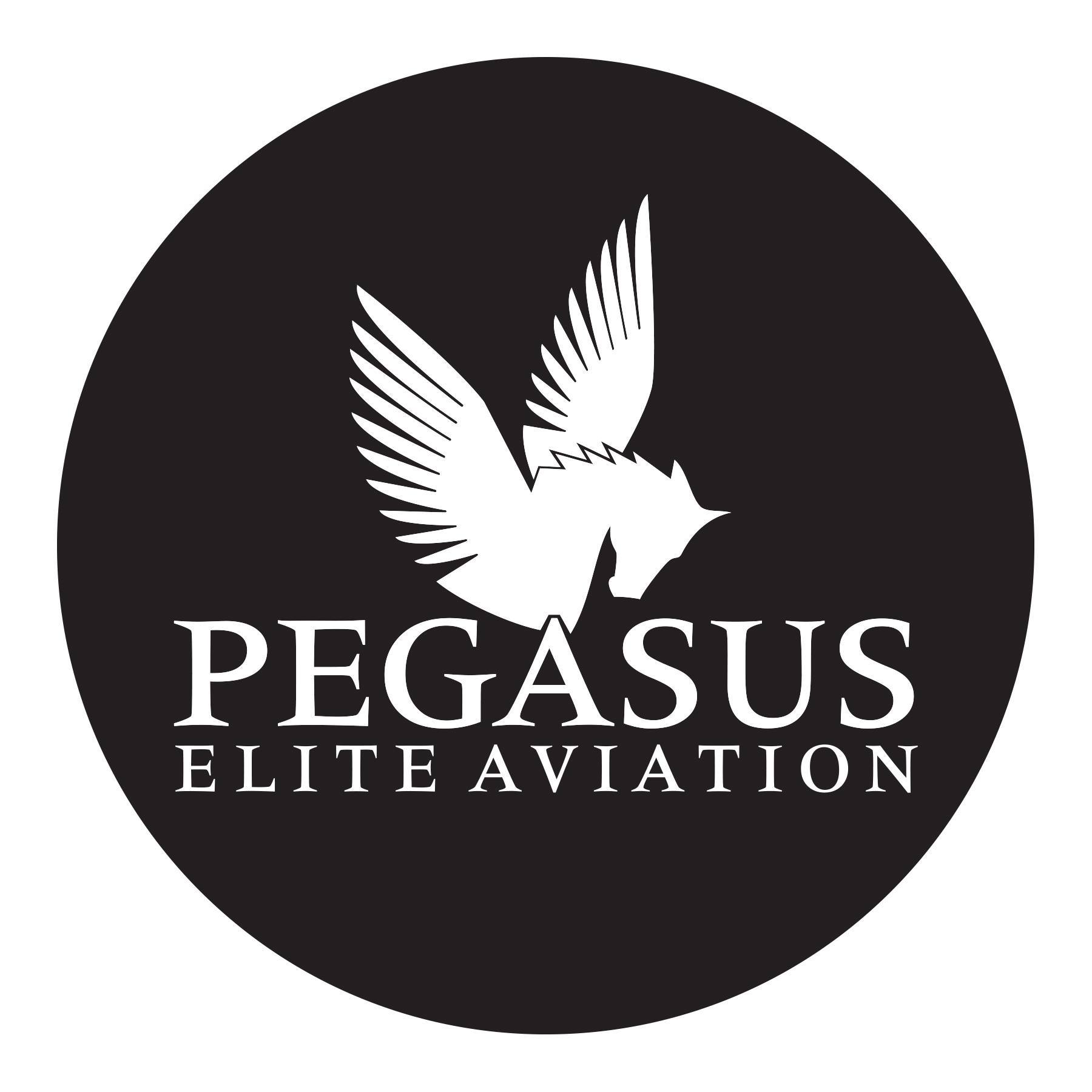 Pegasus Elite Aviation logo