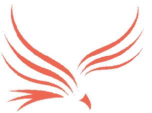 peregrine air charter logo
