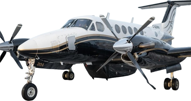 Image of tail C-GDFN