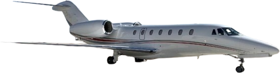 Image of tail 8757657865
