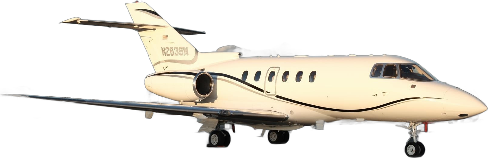 Image of tail N263SN
