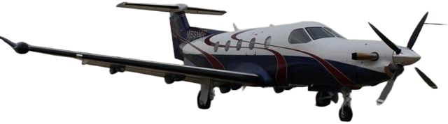 Image of tail 07-0808
