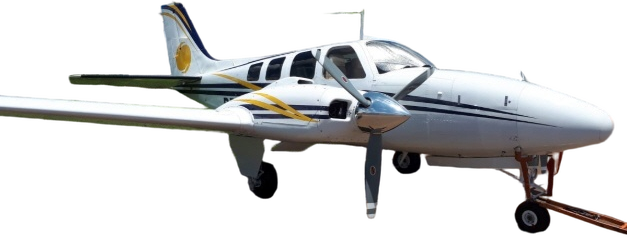 Image of tail 2123