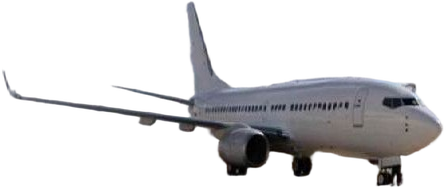 Image of tail 3909