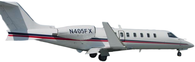 Image of tail ANX-1207