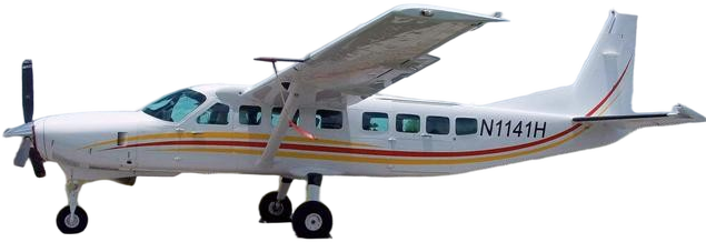 Image of tail B1234