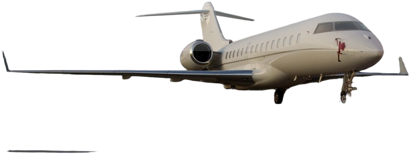 Image of tail C-FASD