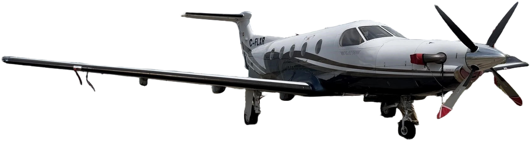 Image of tail C-FLXR
