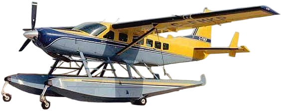 Image of tail C-FMKP