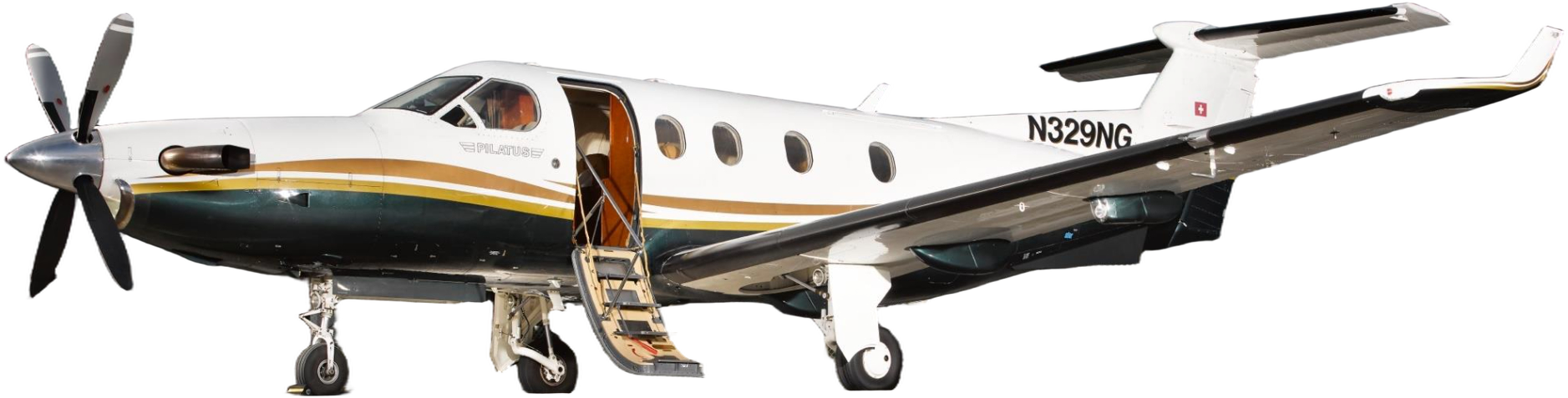 Image of tail C-FMYW