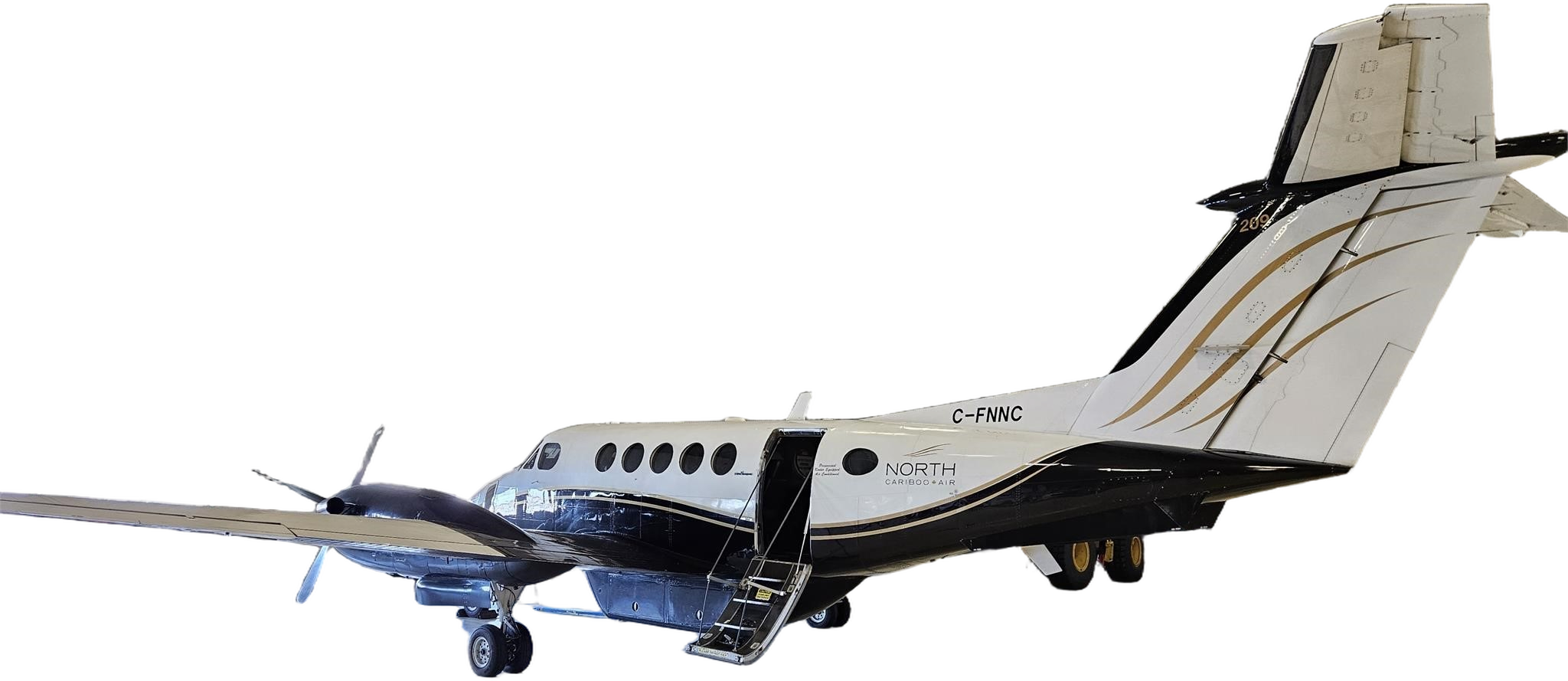 Image of tail C-FNNC