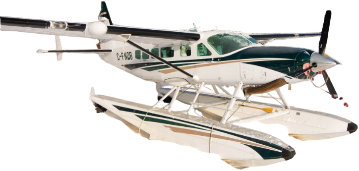 Image of tail C-FNQB