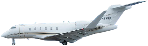 Image of tail C-FOCI
