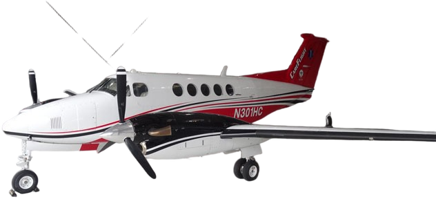 Image of tail C-FRLM
