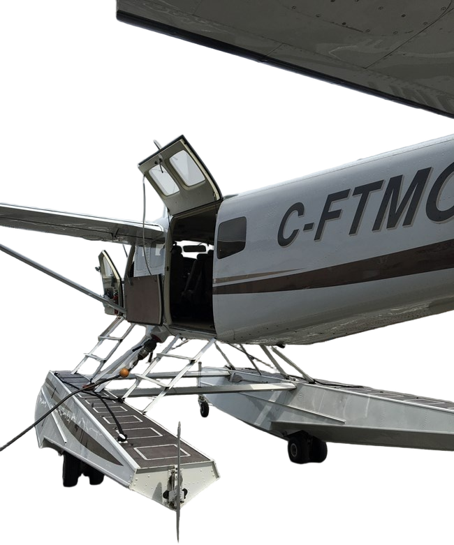 Image of tail C-FTMO