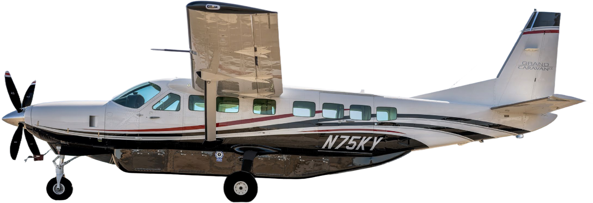 Image of tail C-FTVN