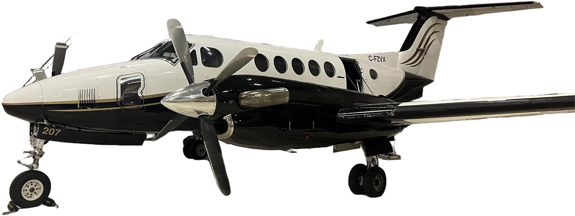 Image of tail C-FZVX