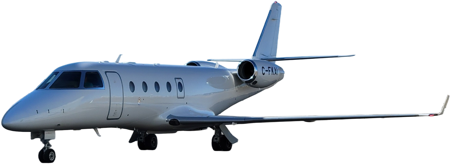Image of tail C-GAFK