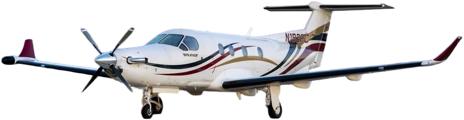Image of tail C-GAPD