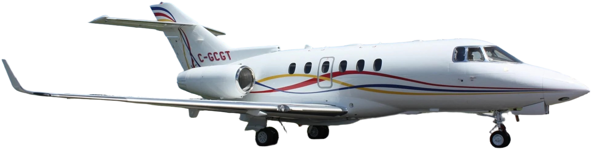 Image of tail C-GCGT