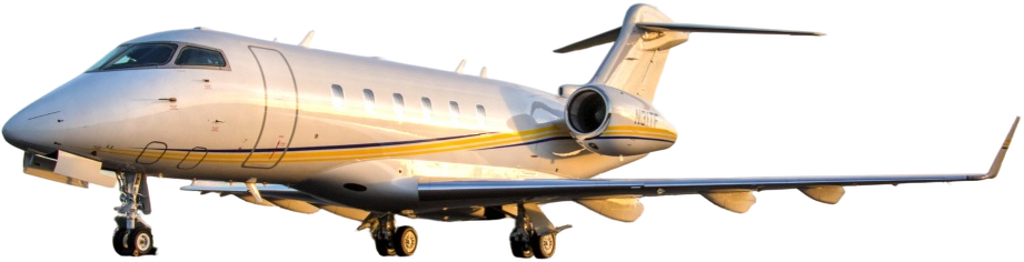 Image of tail C-GDGO