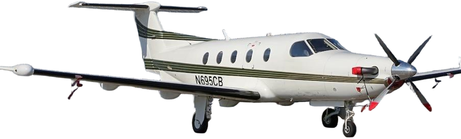 Image of tail C-GDSH