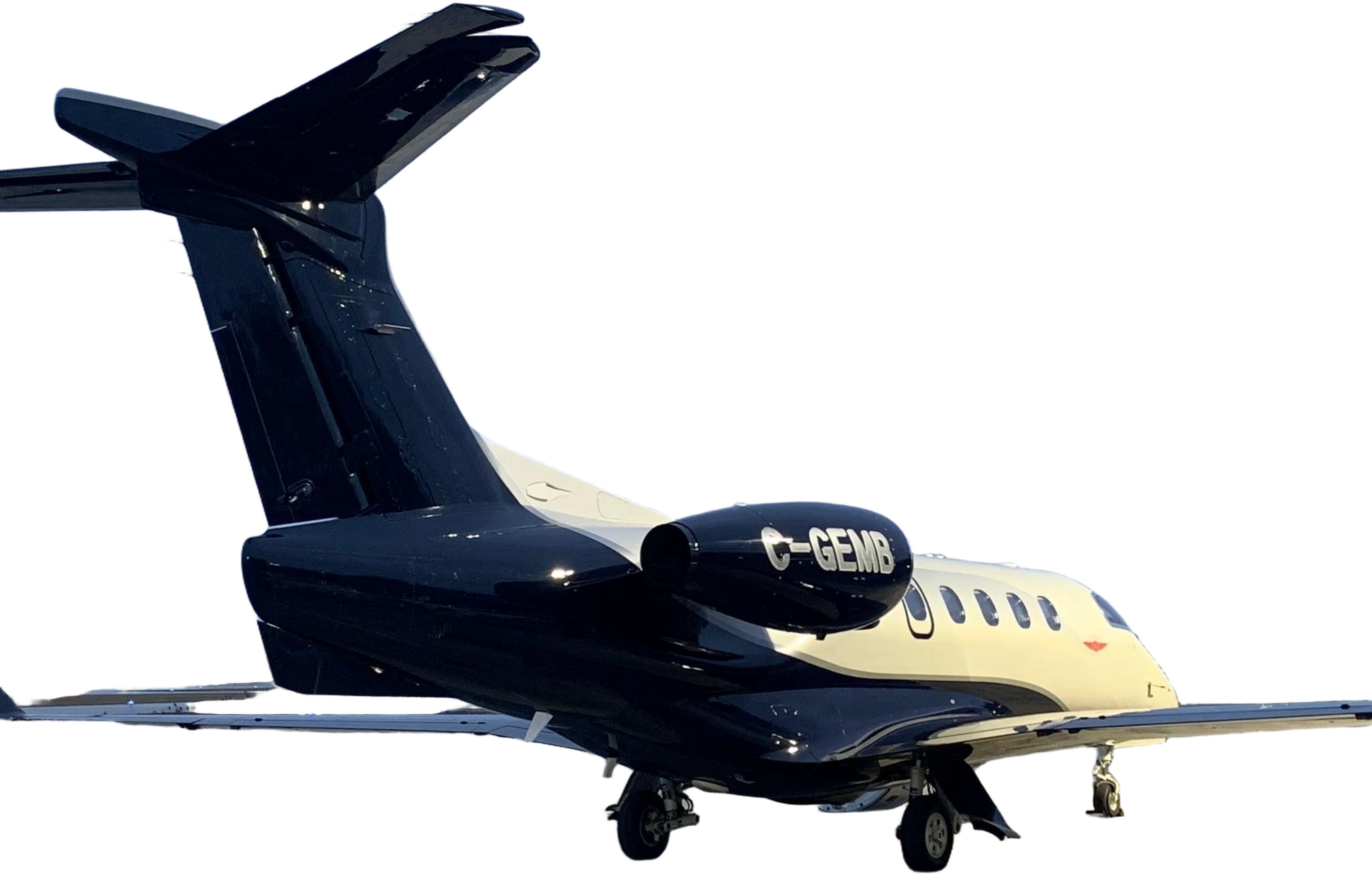 Image of tail C-GEMB