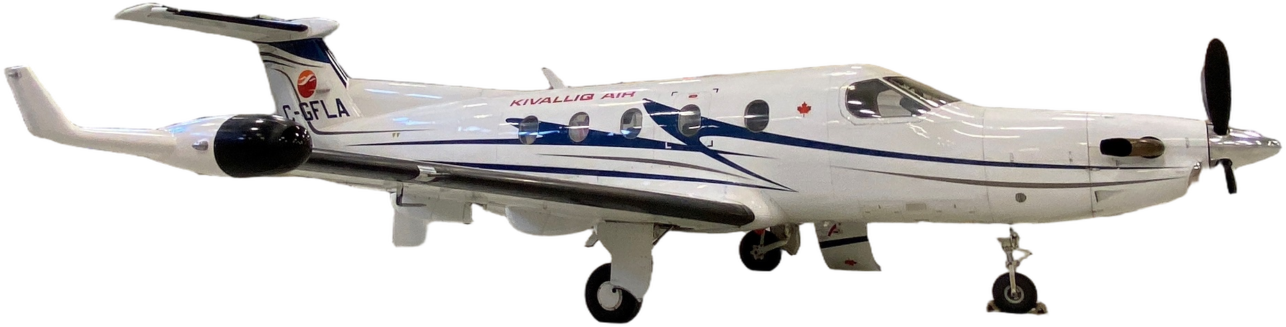 Image of tail C-GFLA