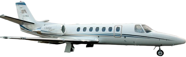 Image of tail C-GIJP