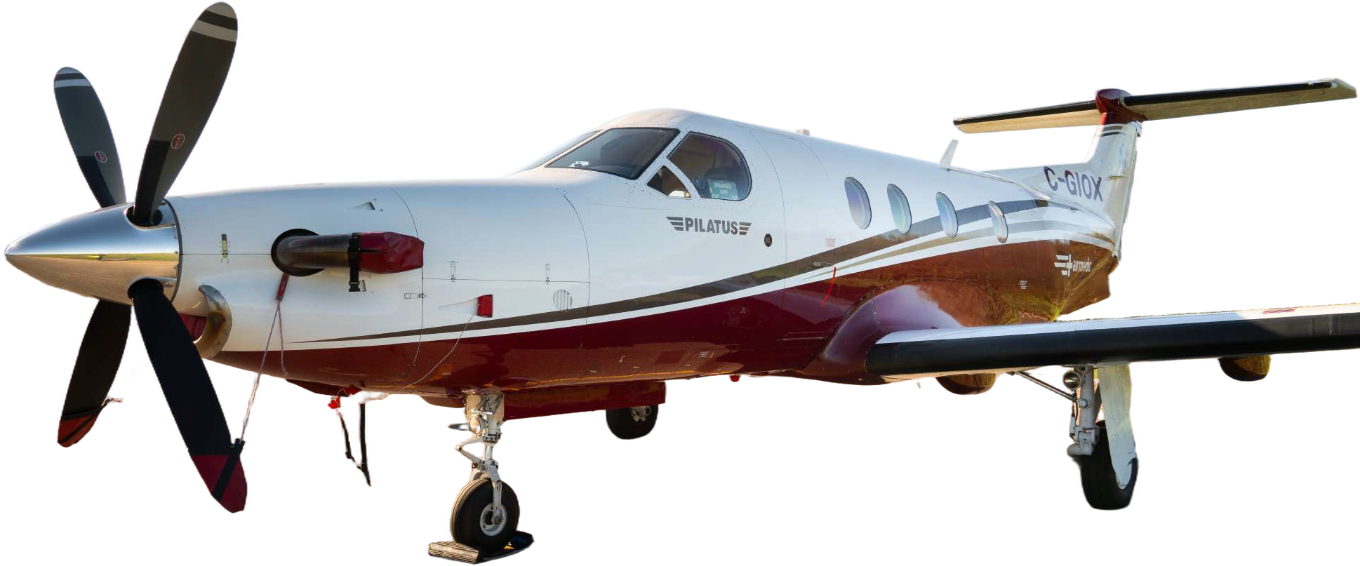 Image of tail C-GIOX