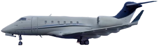 Image of tail C-GJDU