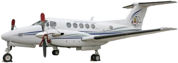 Image of tail C-GKHI