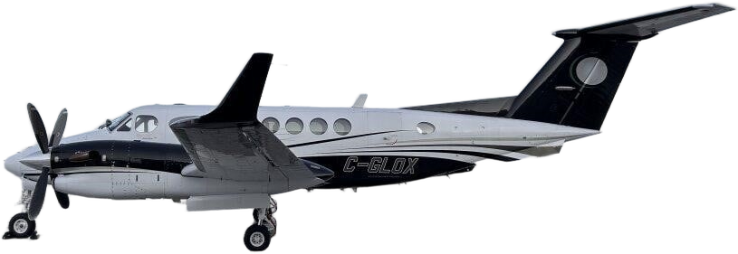 Image of tail C-GLOX