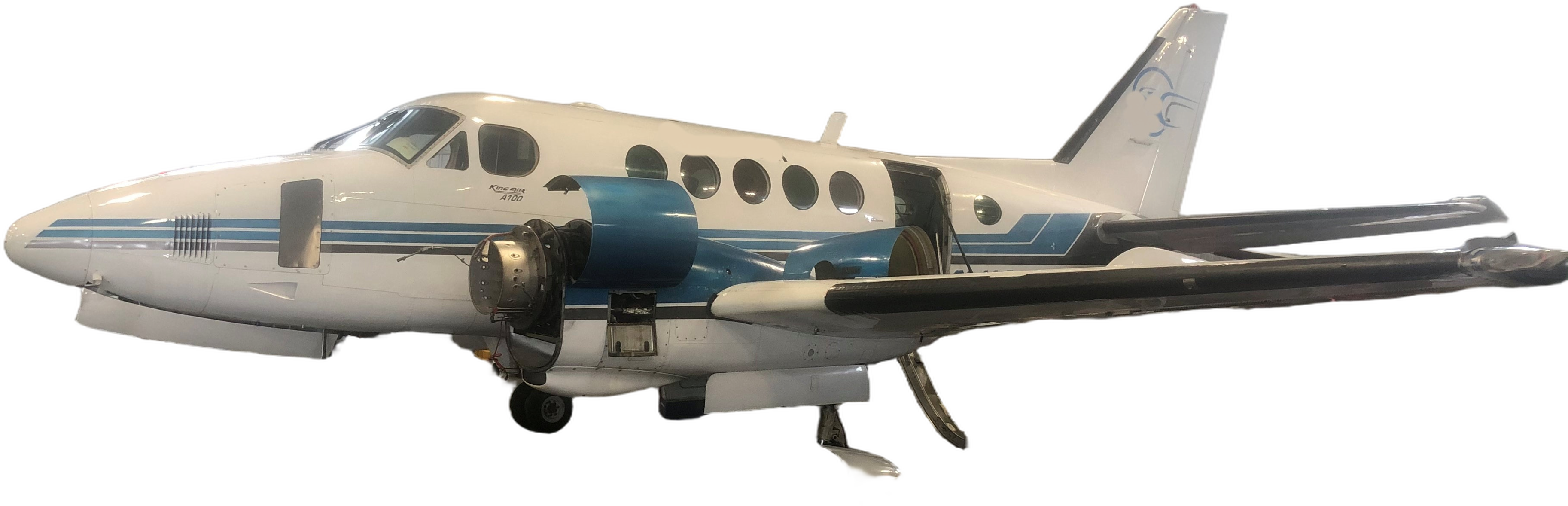 Image of tail C-GMAG