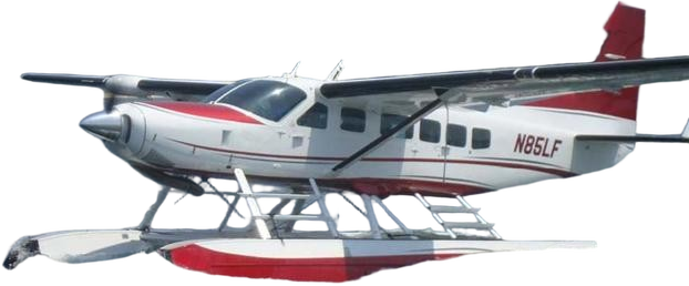Image of tail C-GNWI