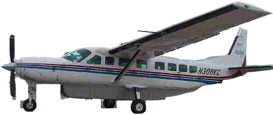 Image of tail C-GOCN