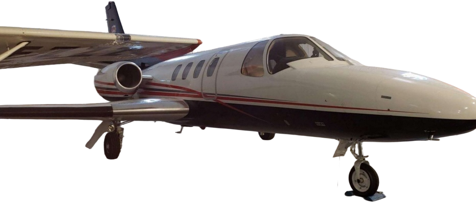 Image of tail C-GRFT
