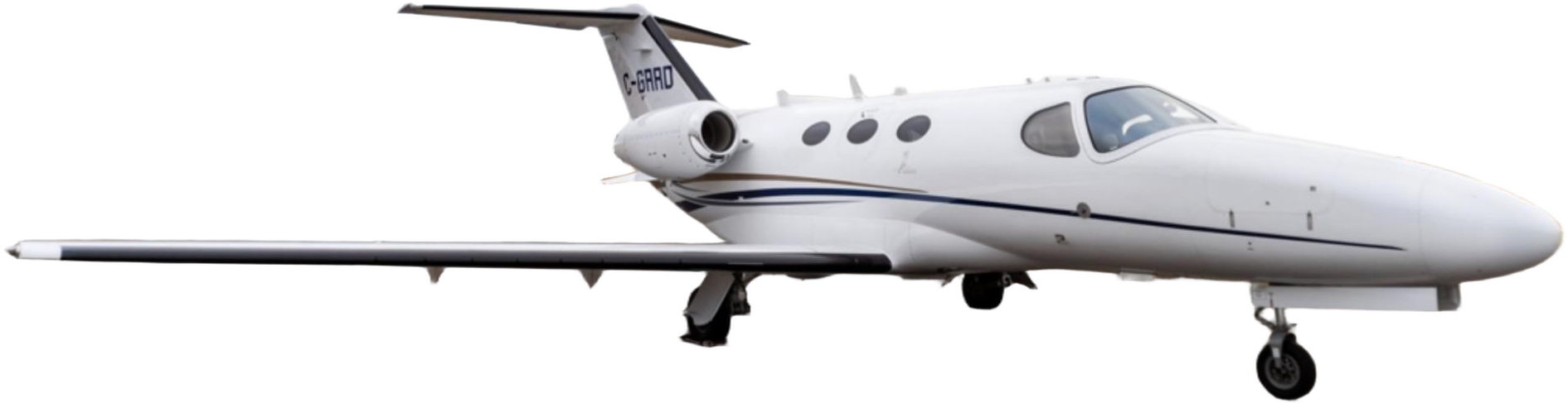 Image of tail C-GRRD