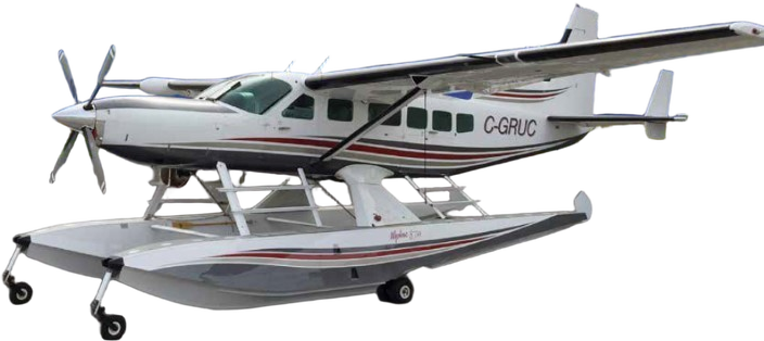 Image of tail C-GRUC