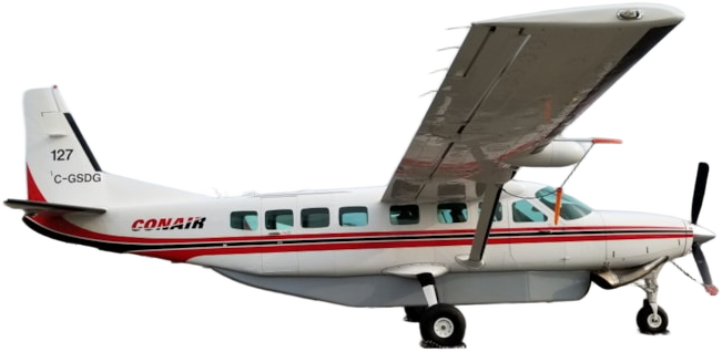 Image of tail C-GSDG