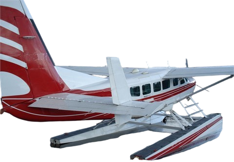 Image of tail C-GTBY