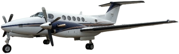 Image of tail C-GTGP